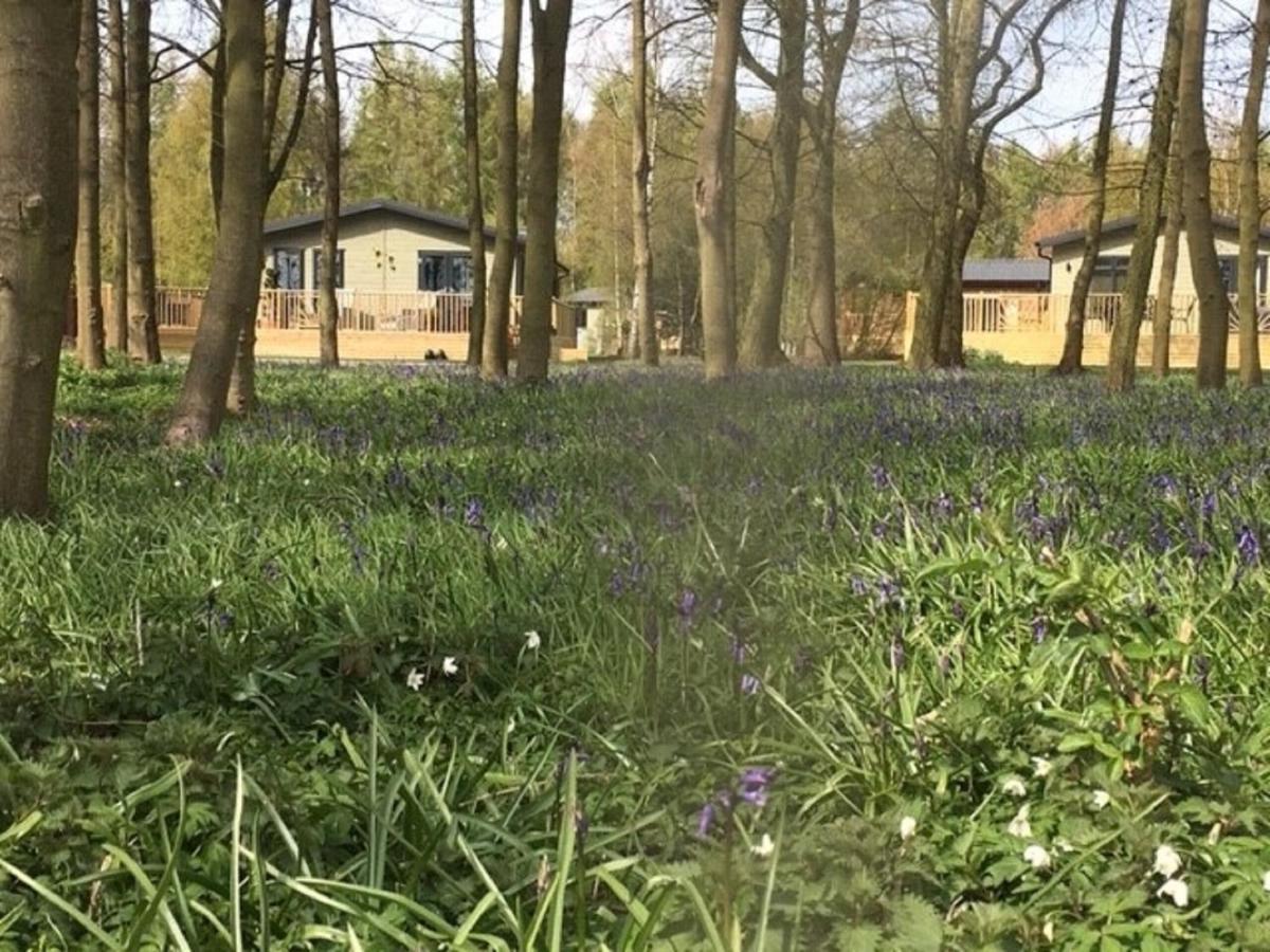 Hollicarrs - Stag Lodge York Buitenkant foto