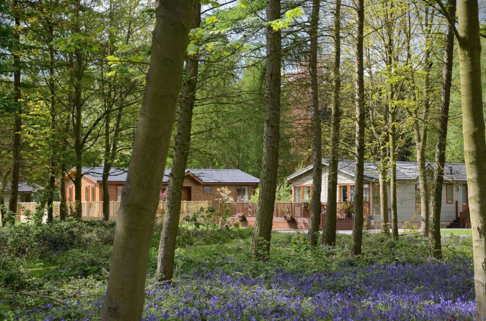 Hollicarrs - Stag Lodge York Buitenkant foto